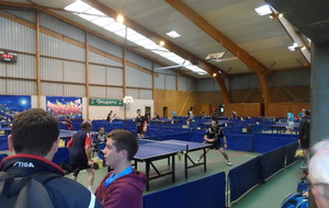 57efbd0dde7ef_SAM0884.JPG